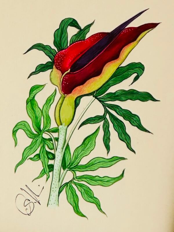Hand-Painted Floral Painting, Berry Rouge - Image 2