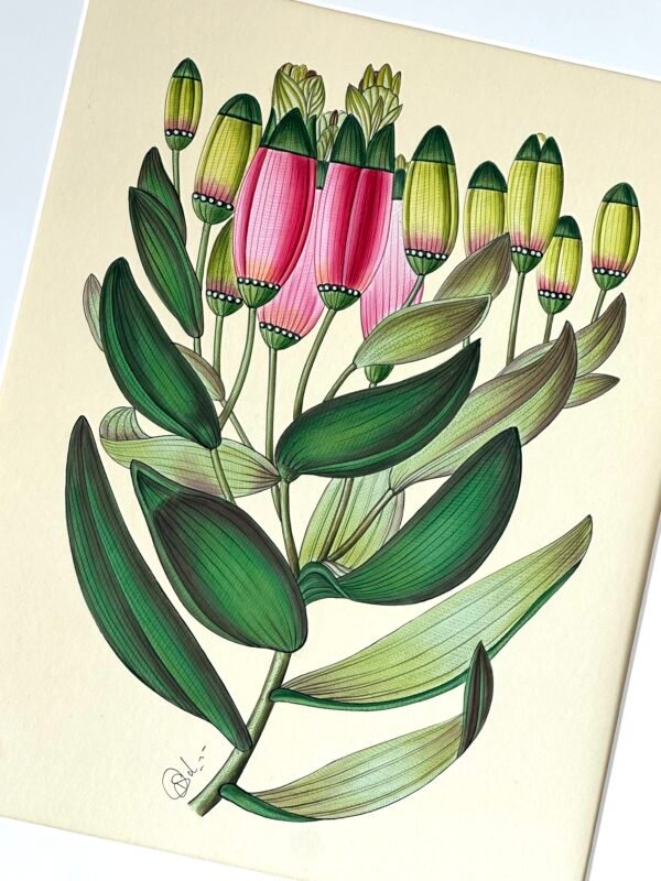 Hand-Painted Botanical Painting, Pink Whisper - Image 2