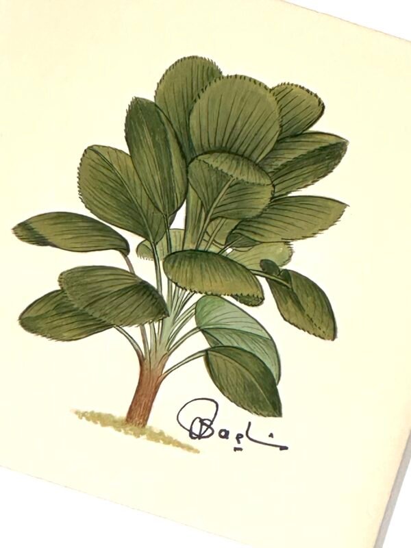 Hand-Painted Ruffled Fan Palm Painting - Image 2
