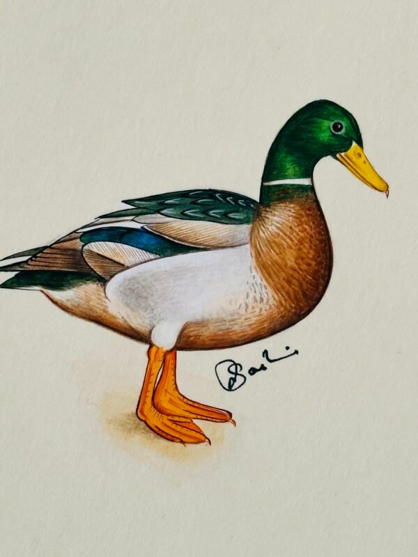 Hand-Painted Mallard Painting, Sprinkle - Image 2