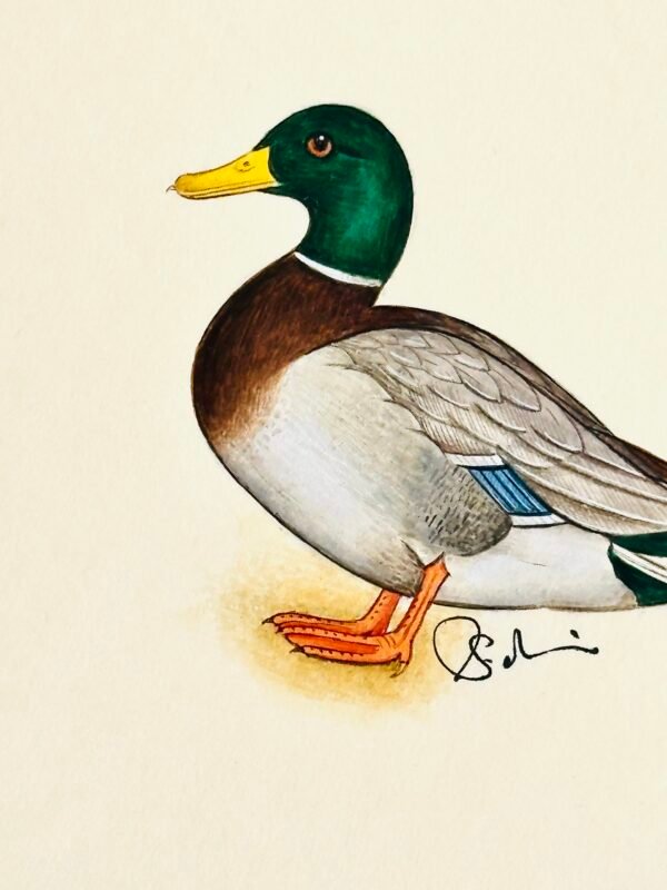 Hand-Painted Mallard Painting, Pumpkin - Image 2