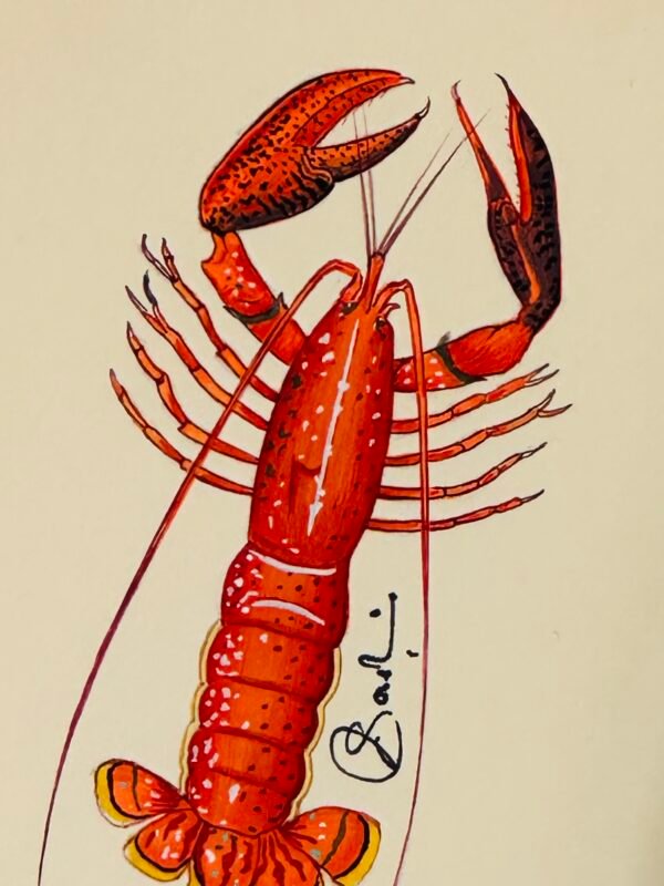 Hand-Painted Orange Lobster Painting, Coral - Image 2