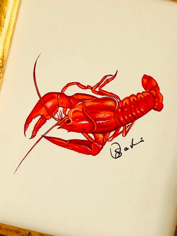 Hand-Painted Orange Lobster Painting, Crimson - Image 2