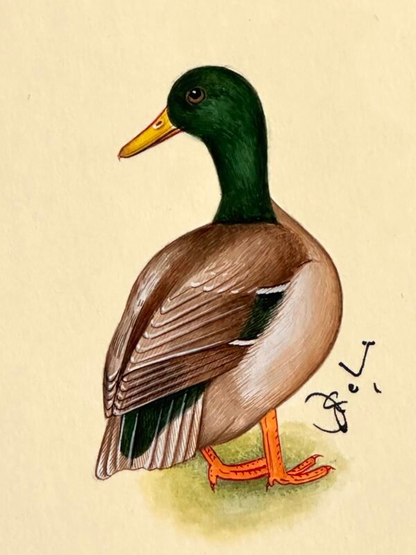 Hand-Painted Mallard Painting, Quacker - Image 2