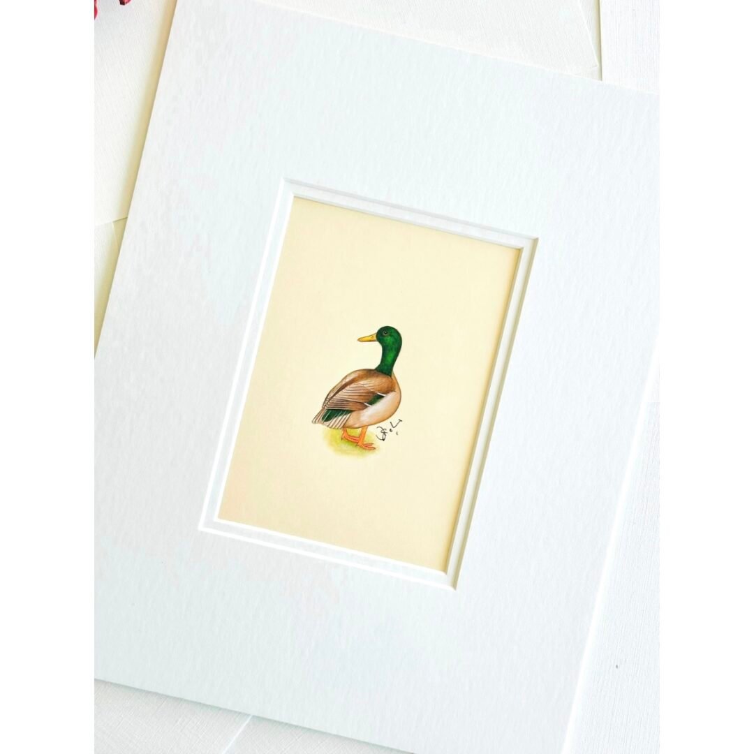 Hand-Painted Mallard Painting, Quacker