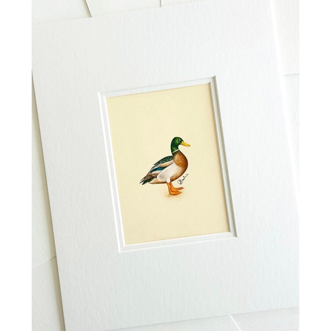 Hand-Painted Mallard Painting, Sprinkle