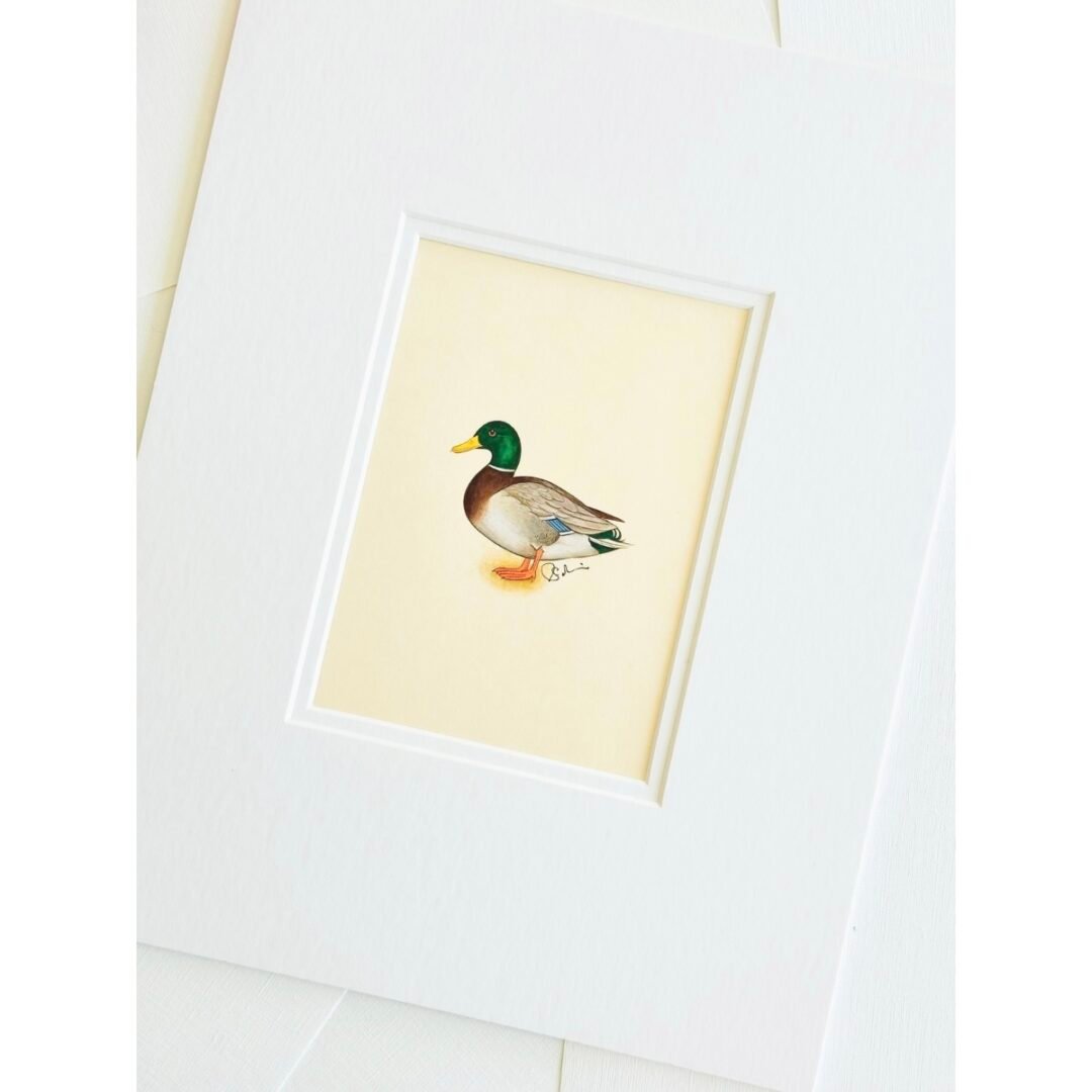 Hand-Painted Mallard Painting, Pumpkin