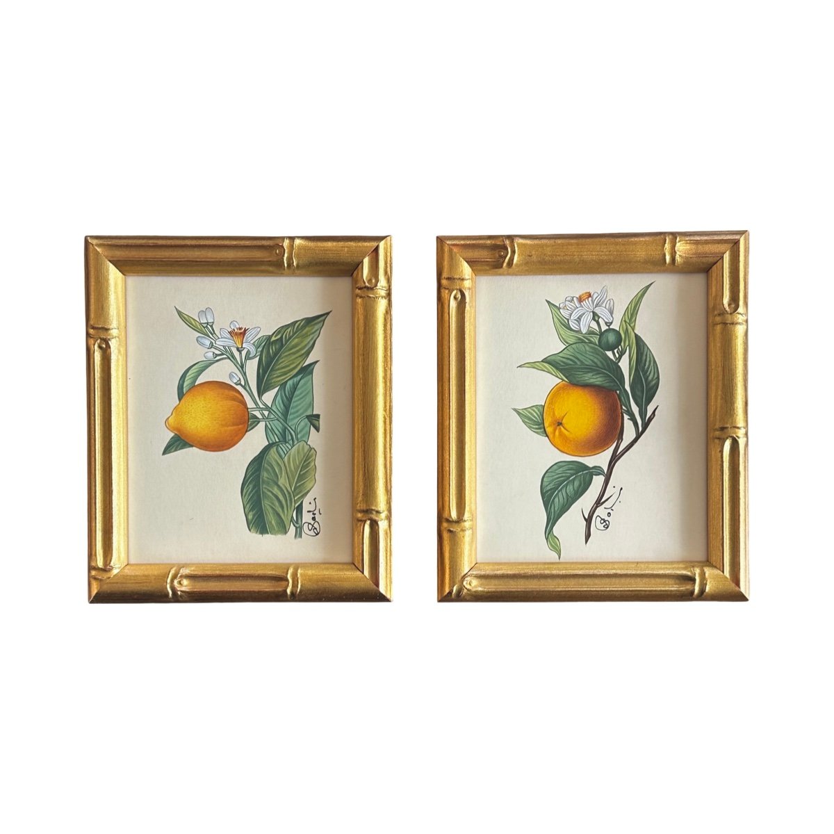 Hand-Painted Citrus Paintings, Pair