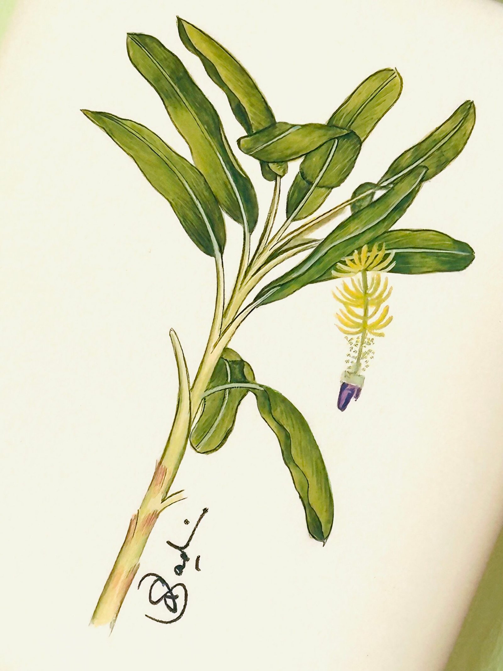 Hand-Painted Banana Palm Tree Painting - Image 2