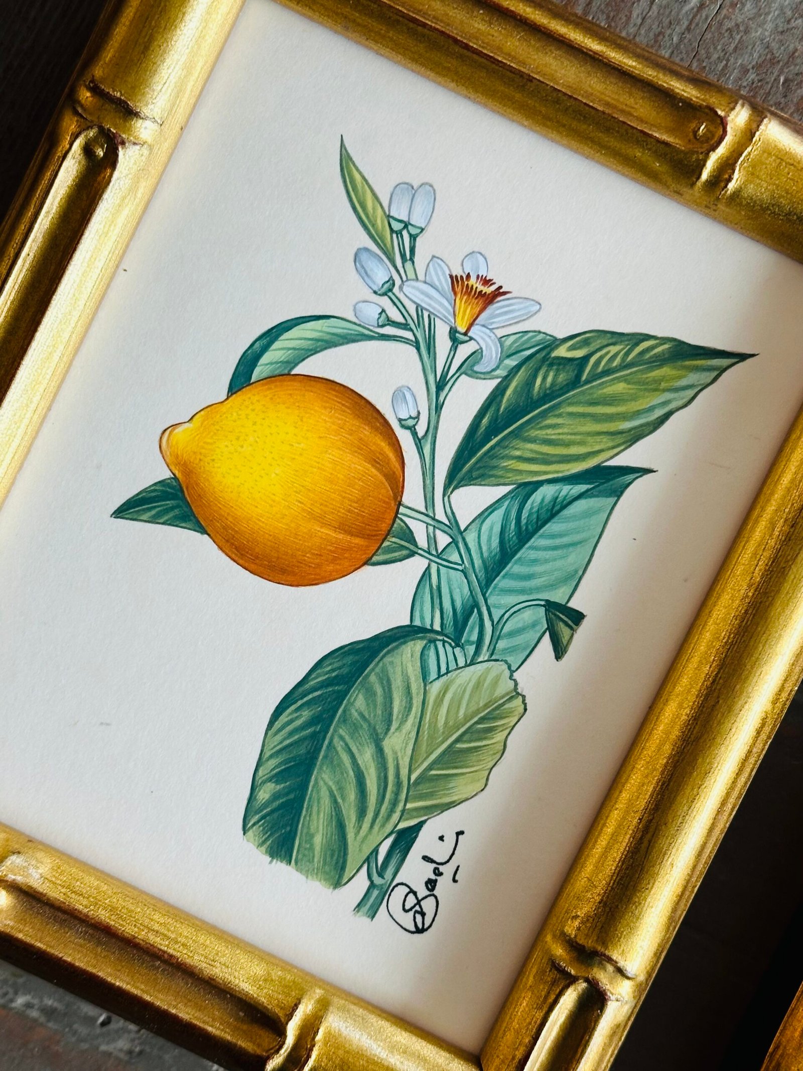 Hand-Painted Citrus Paintings, Pair - Image 3