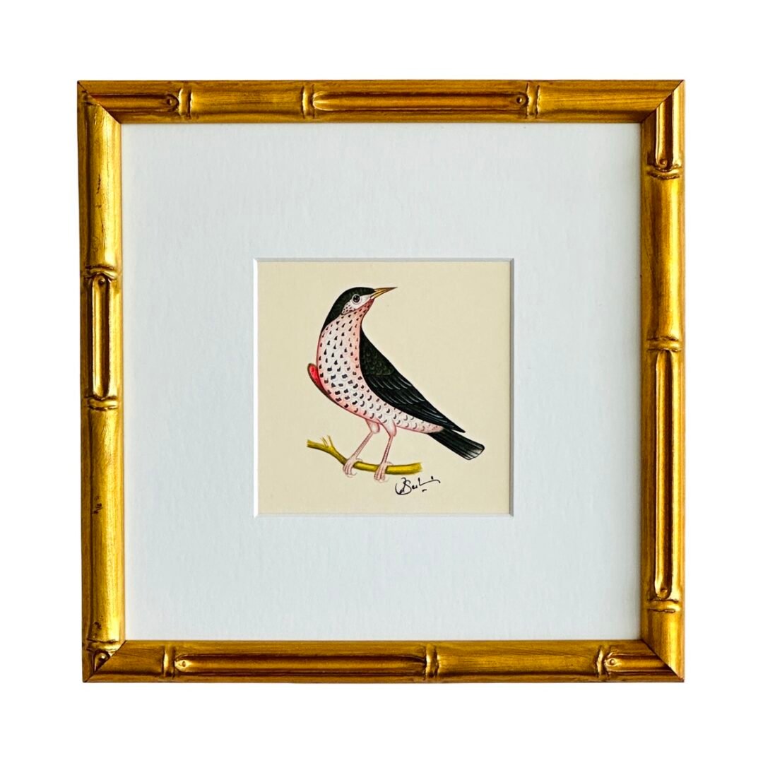 Hand-Painted Bird Painting, Rosabelle