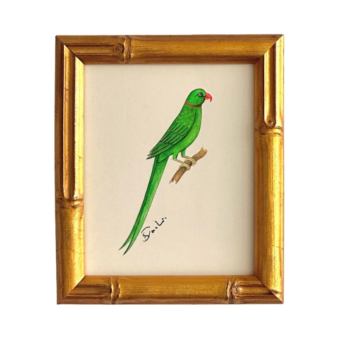 Hand-Painted Parrot Painting, Mochi