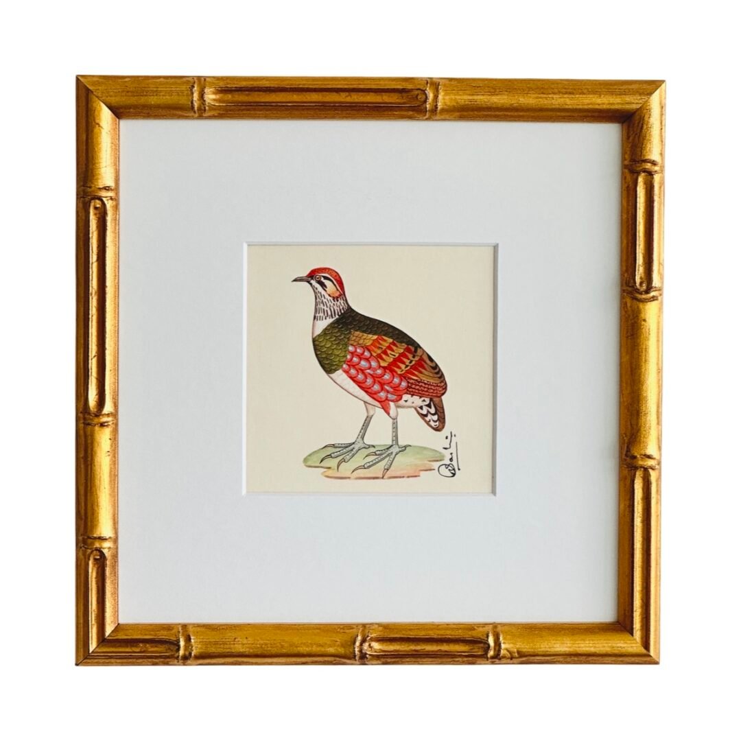 Hand-Painted French Partridge Painting, Pierre