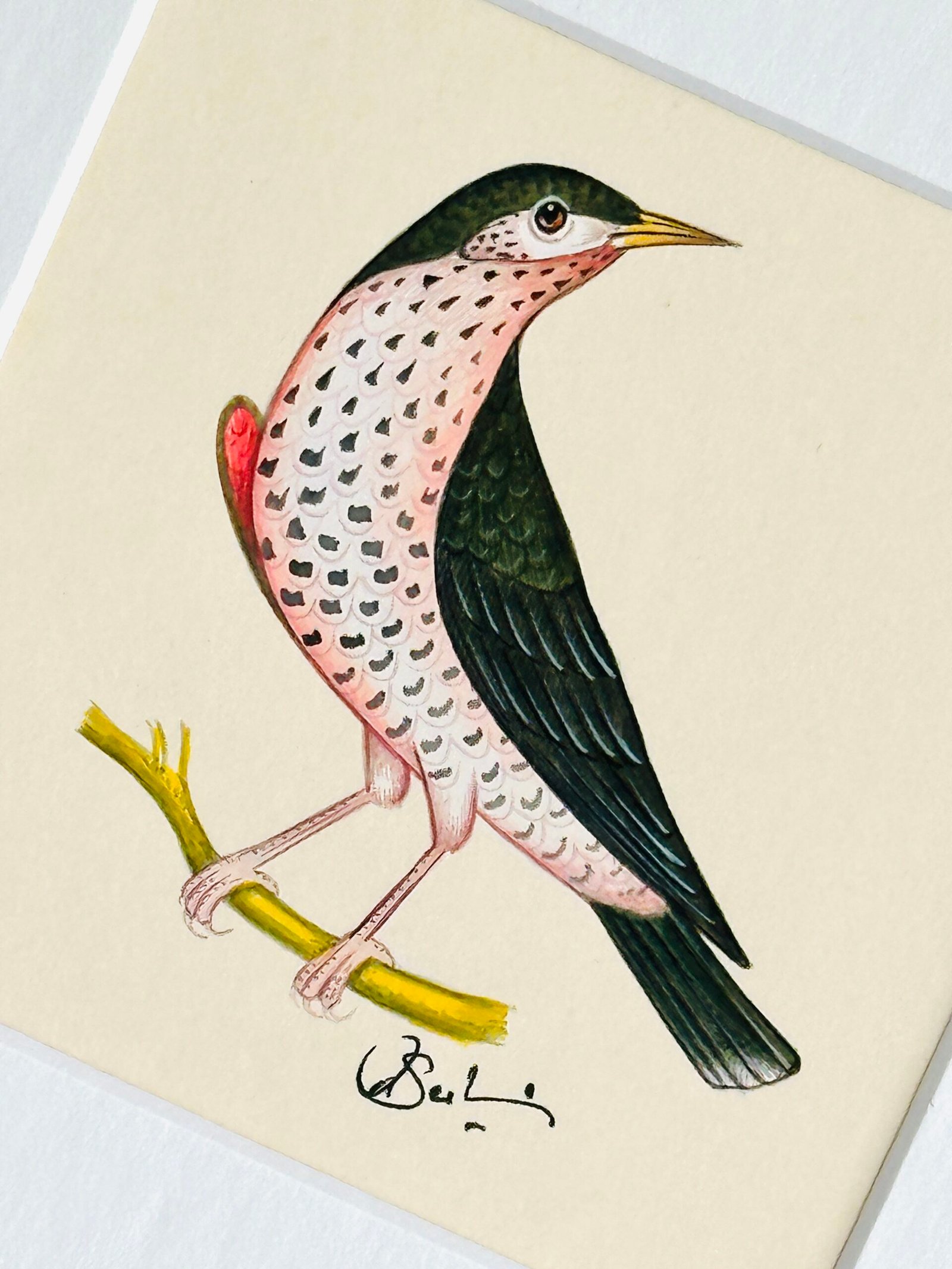 Hand-Painted Bird Painting, Rosabelle - Image 3