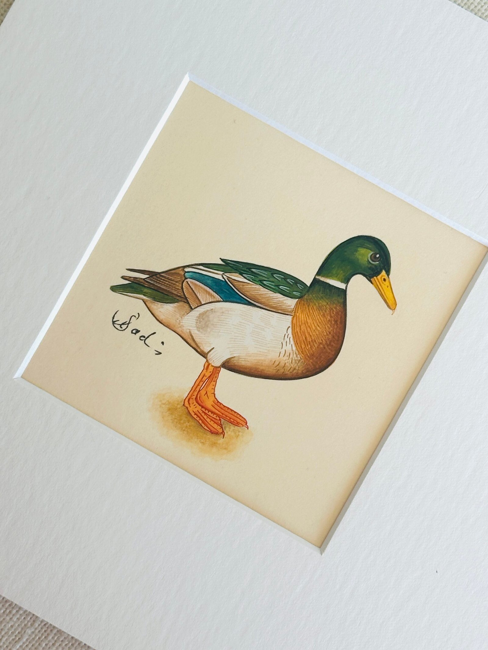 Hand-Painted Mallard Painting, Ollie - Image 2