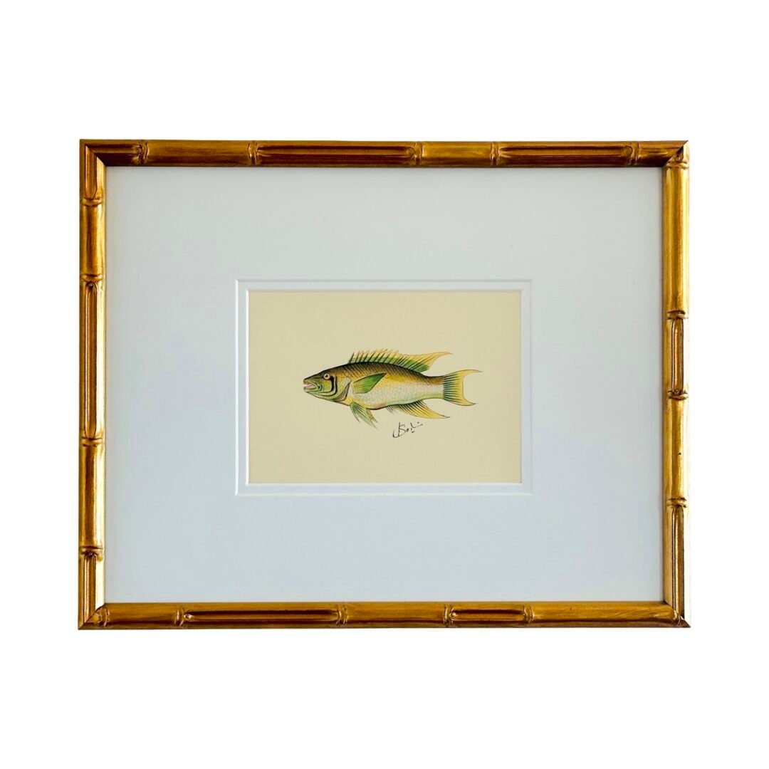 Hand-Painted Fish Painting, Reef