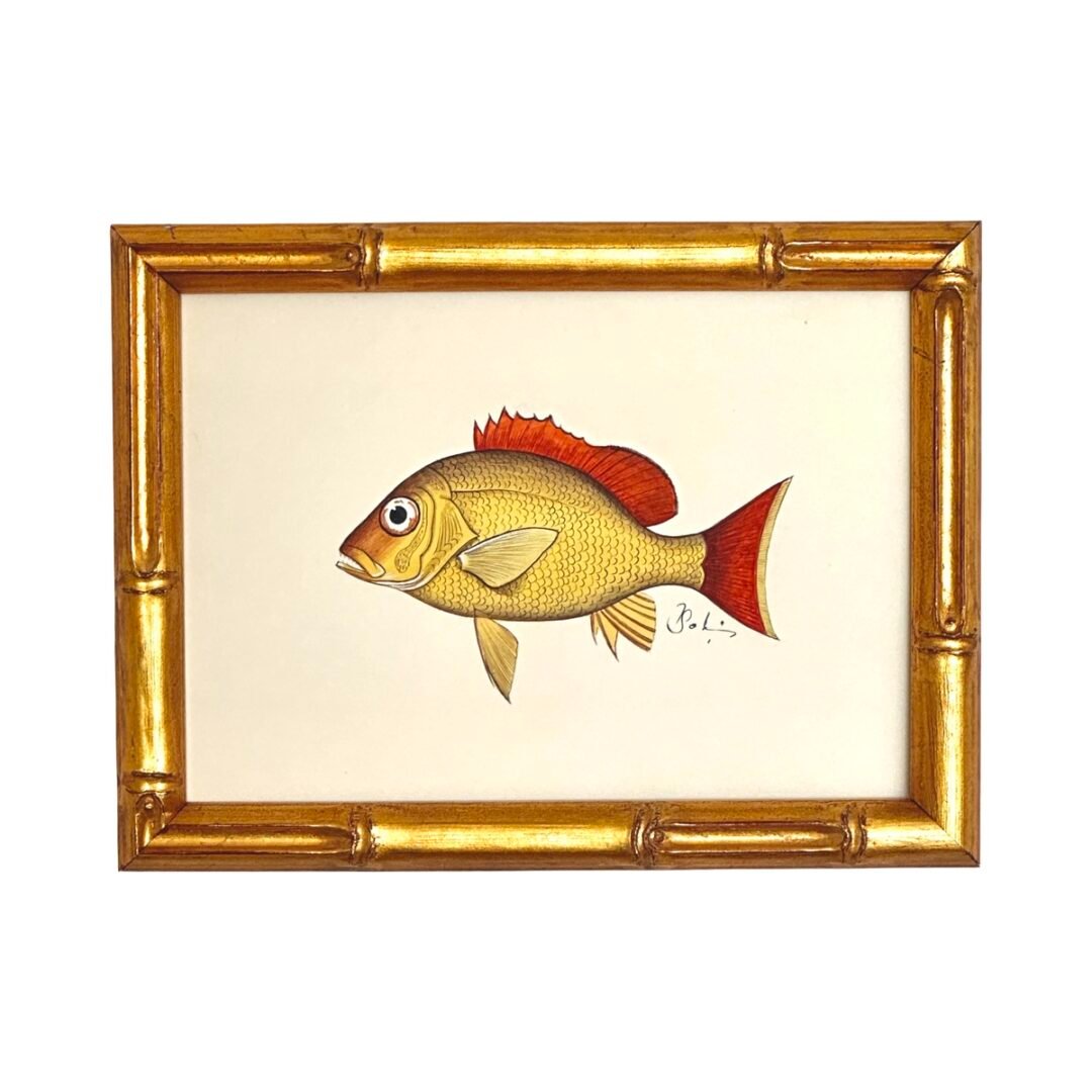 Hand-Painted Fish Painting, Marigold Mischief