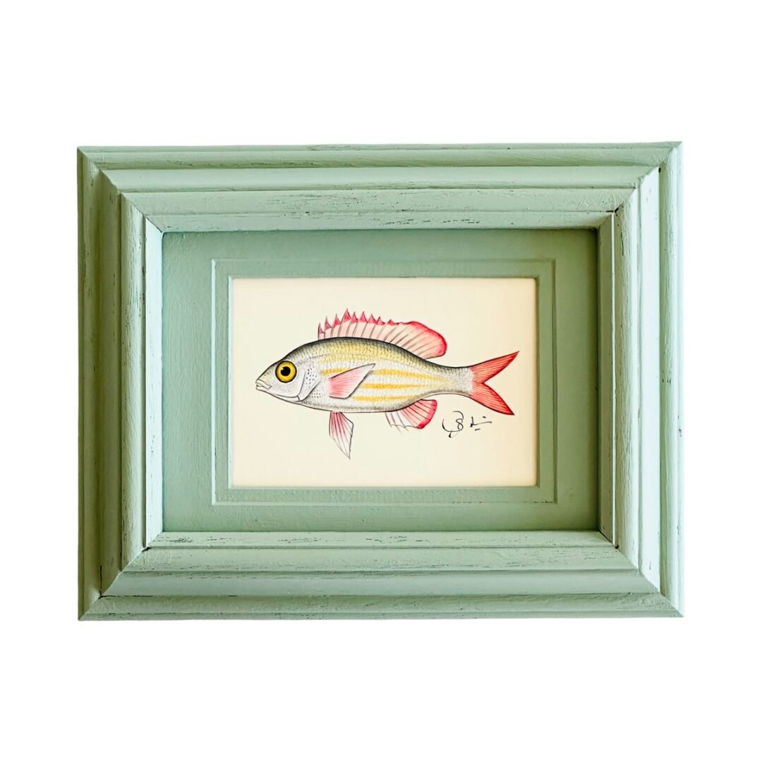 Hand-Painted Fish Painting, Ivy