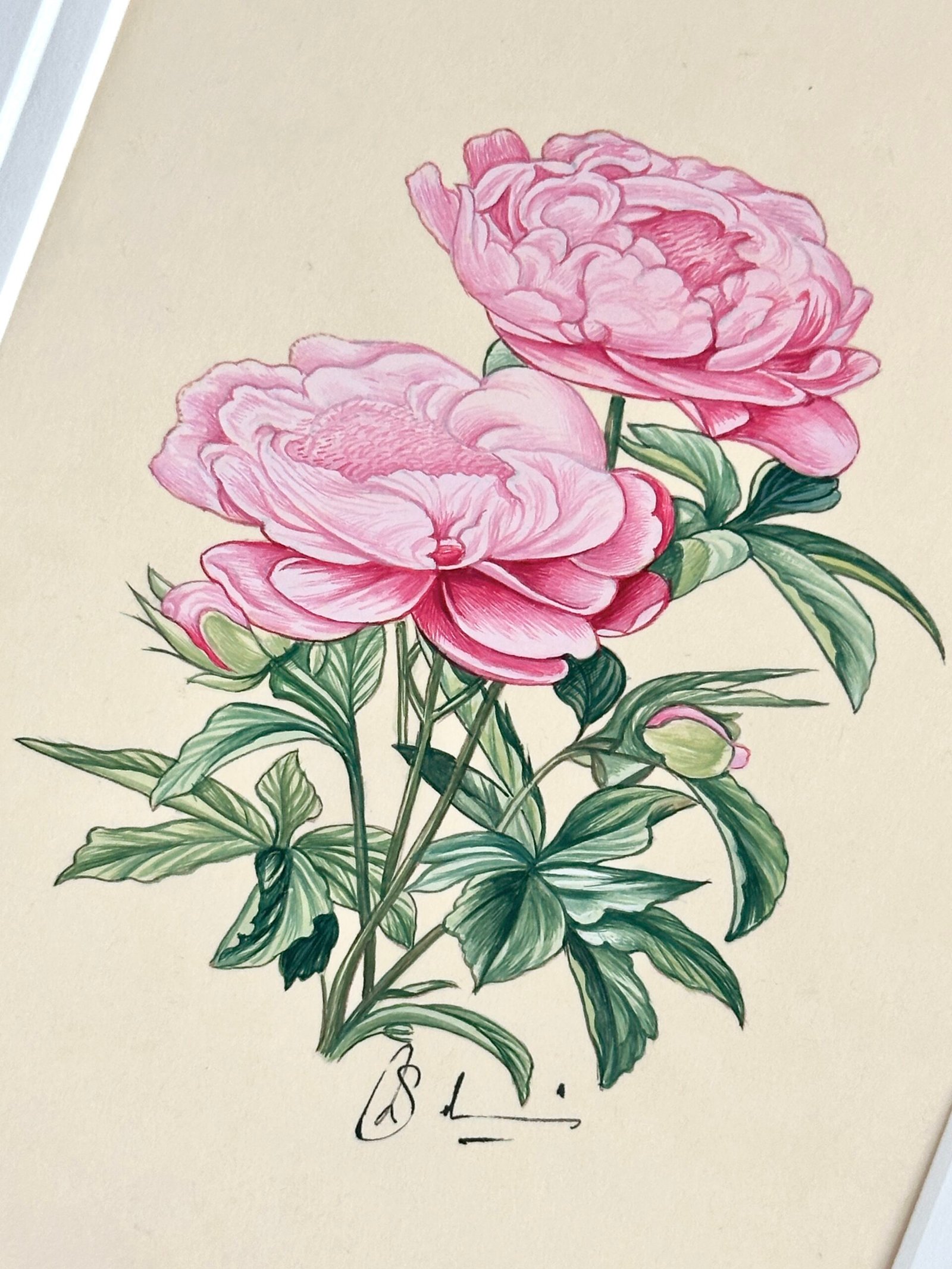 Hand-Painted Peonies Painting, Petal Puff - Image 2