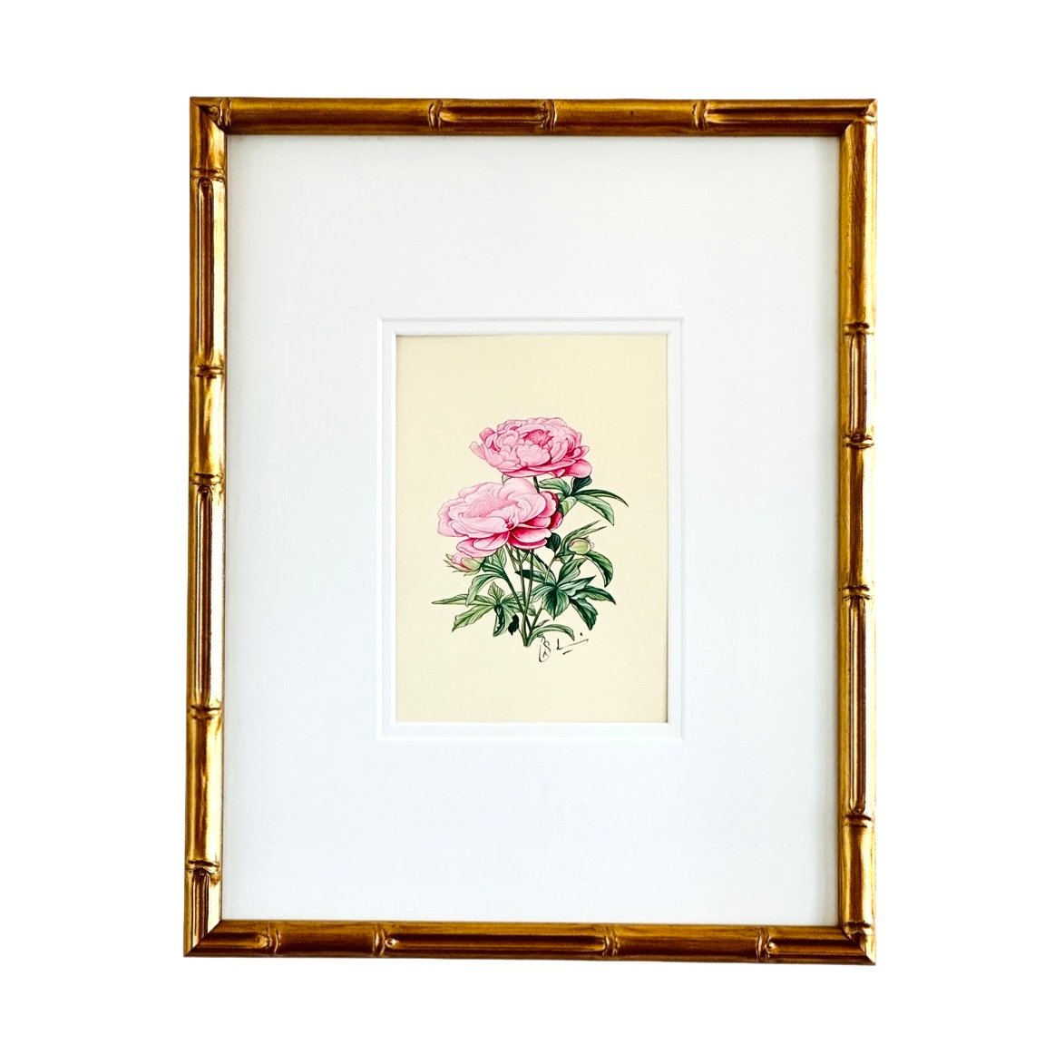 Hand-Painted Peonies Painting, Petal Puff