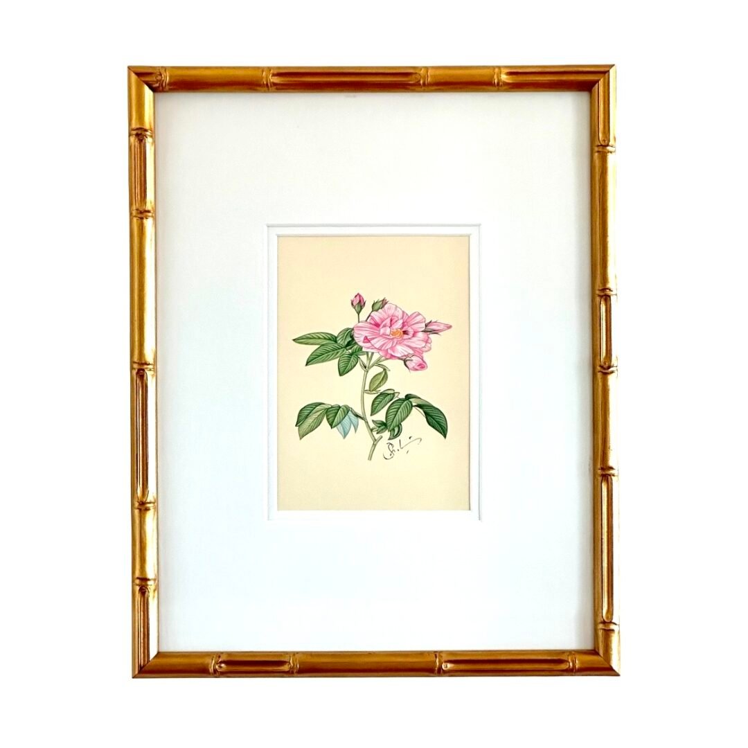 Hand-Painted Pink Camellia Painting, Blushy Bloom
