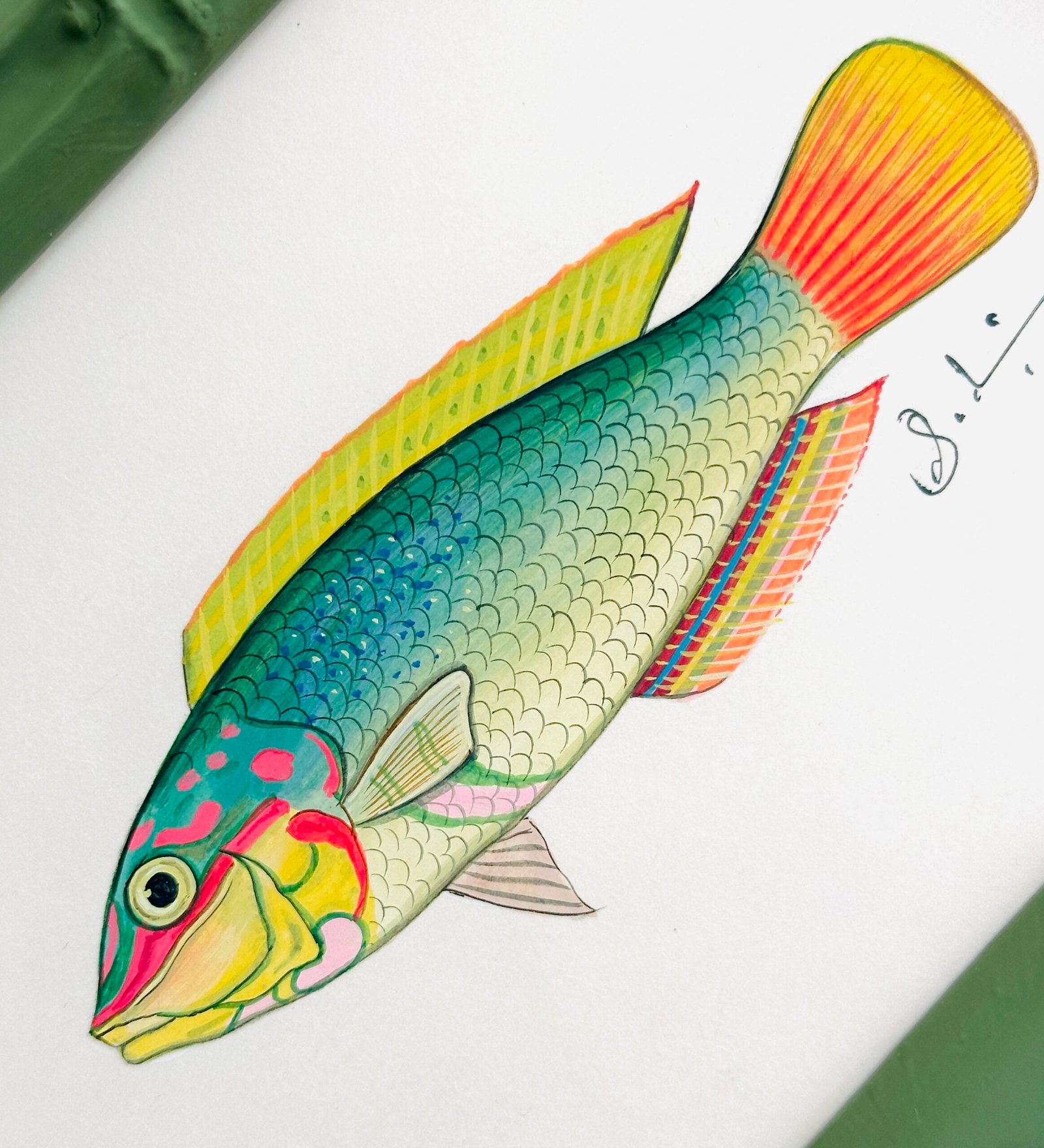 Hand-Painted Fish Painting, Nori - Image 3