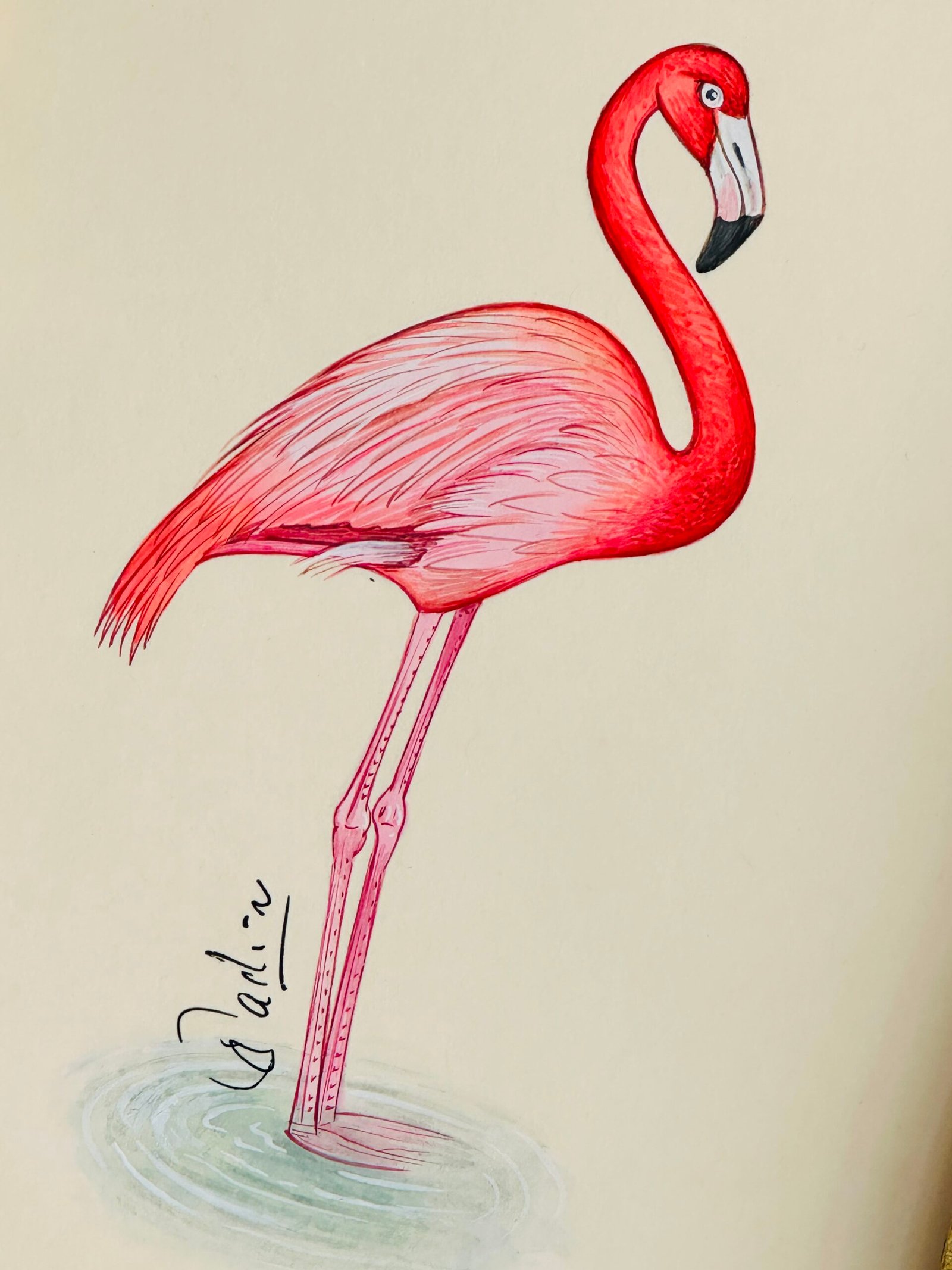 Hand-Painted Flamingo, Tilly - Image 2