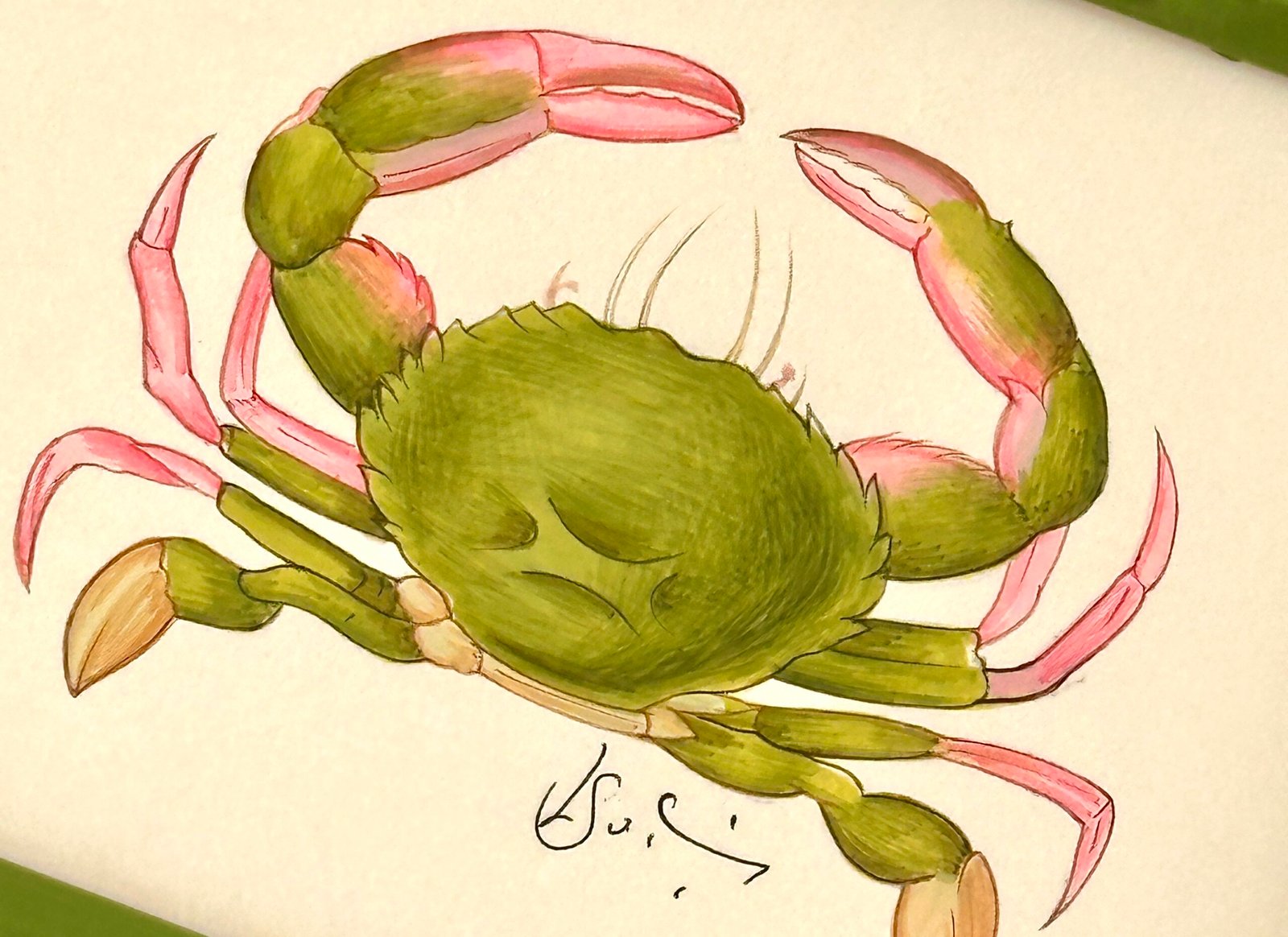 Hand-Painted Crab Painting, Wasabi - Image 2