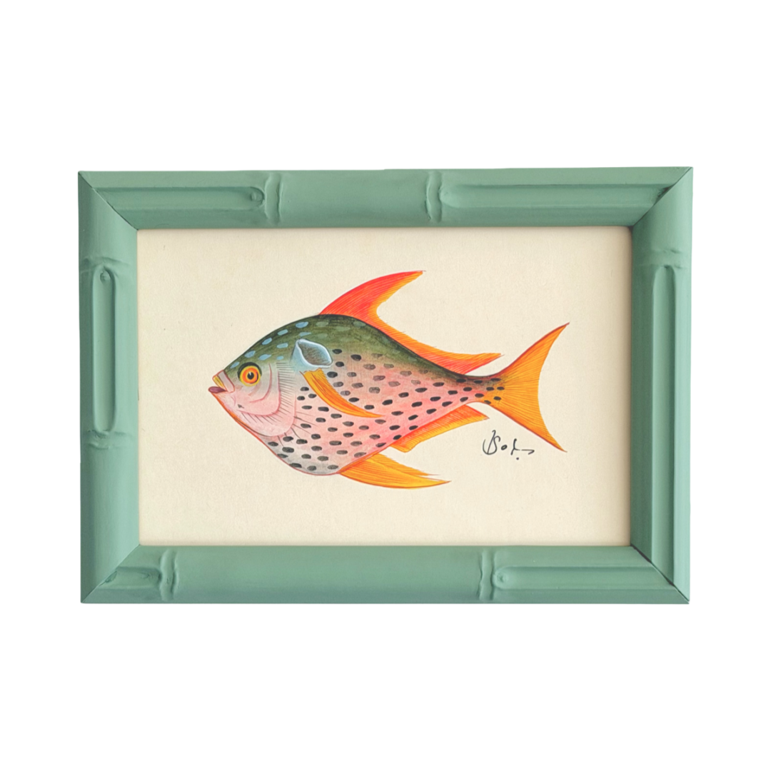 Hand-Painted Fish Painting, Blush