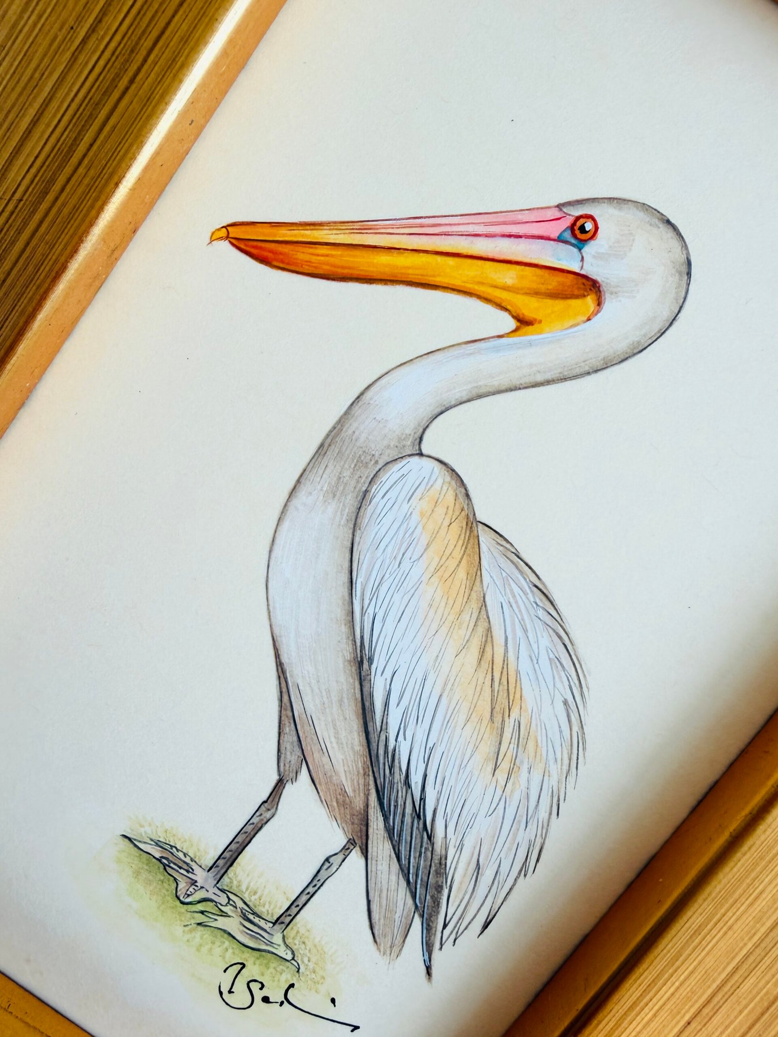 Hand-Painted Pelican Painting, Ginger - Image 2