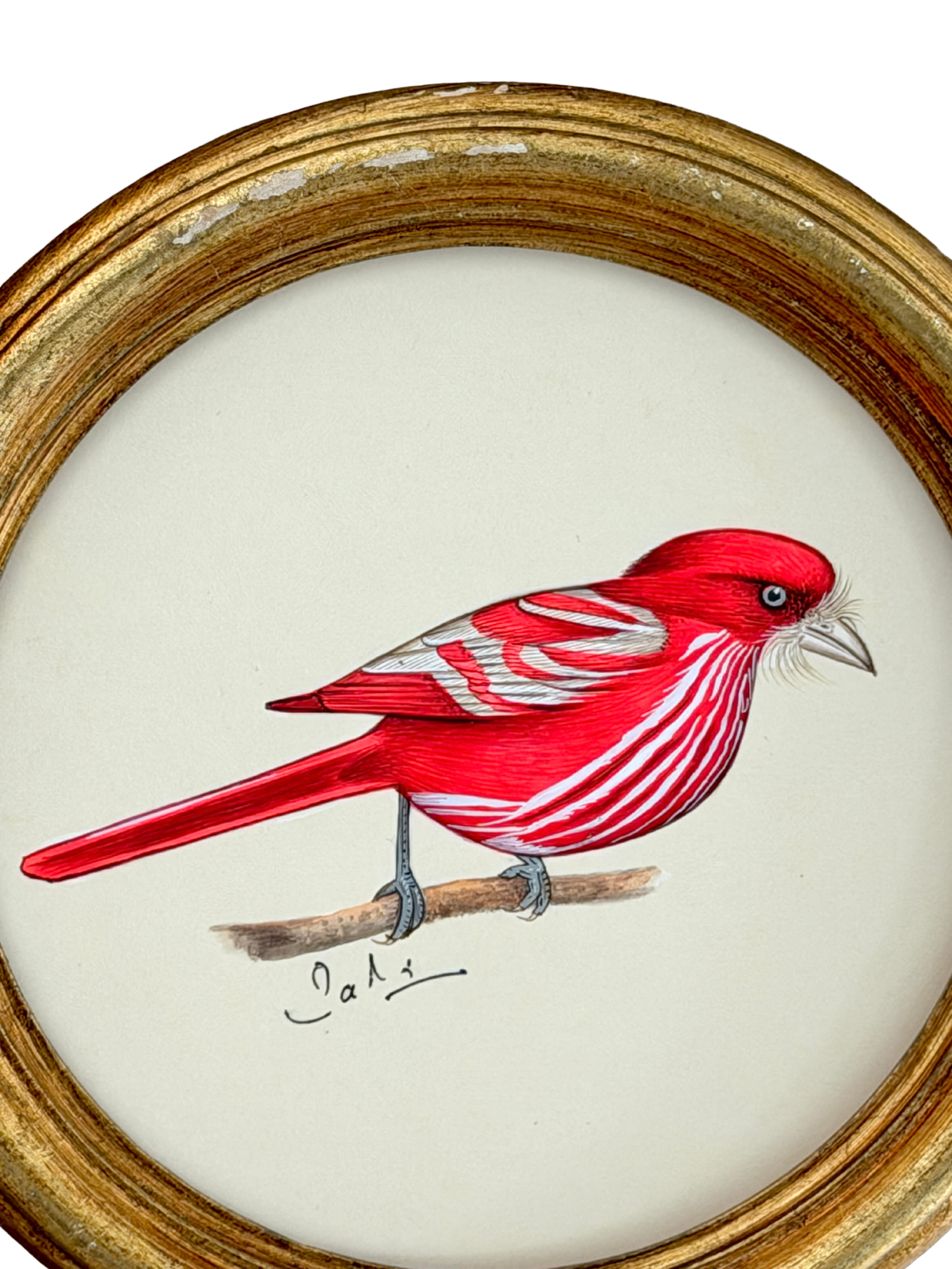 Hand-Painted Red Bird Painting, Poppy - Image 3