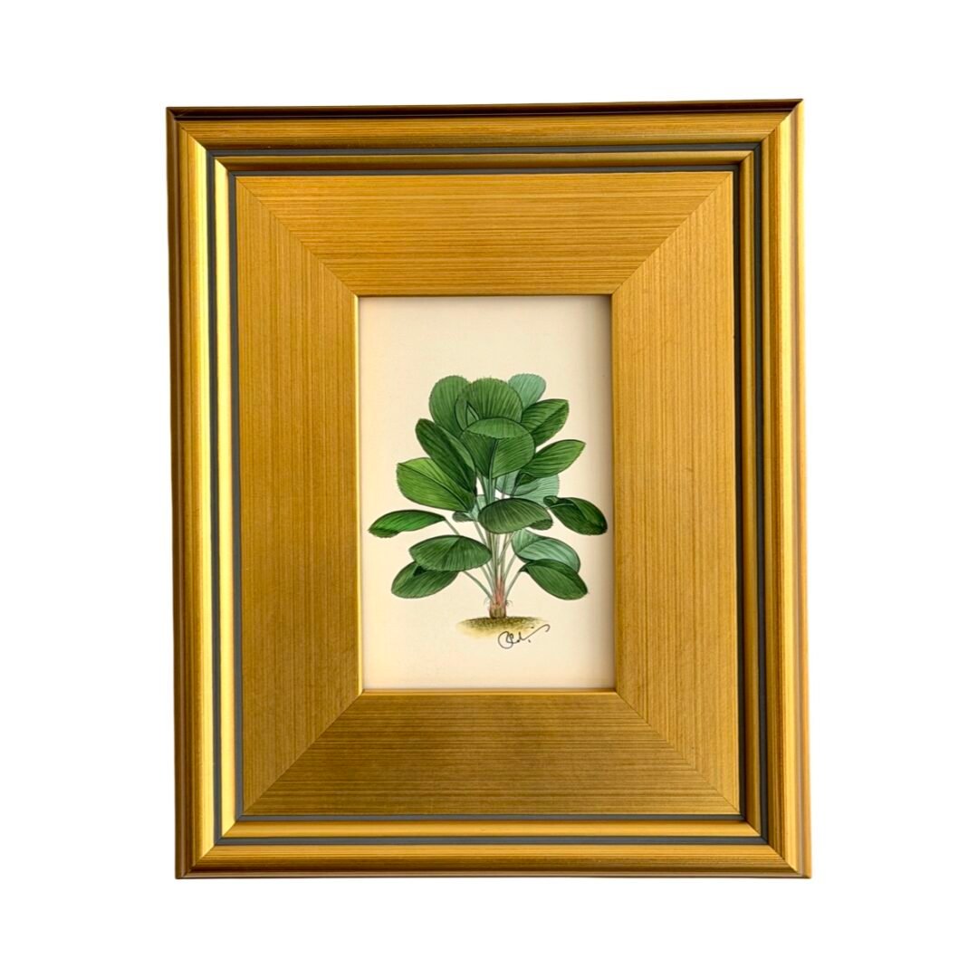 Hand-Painted Botanical Palm Painting