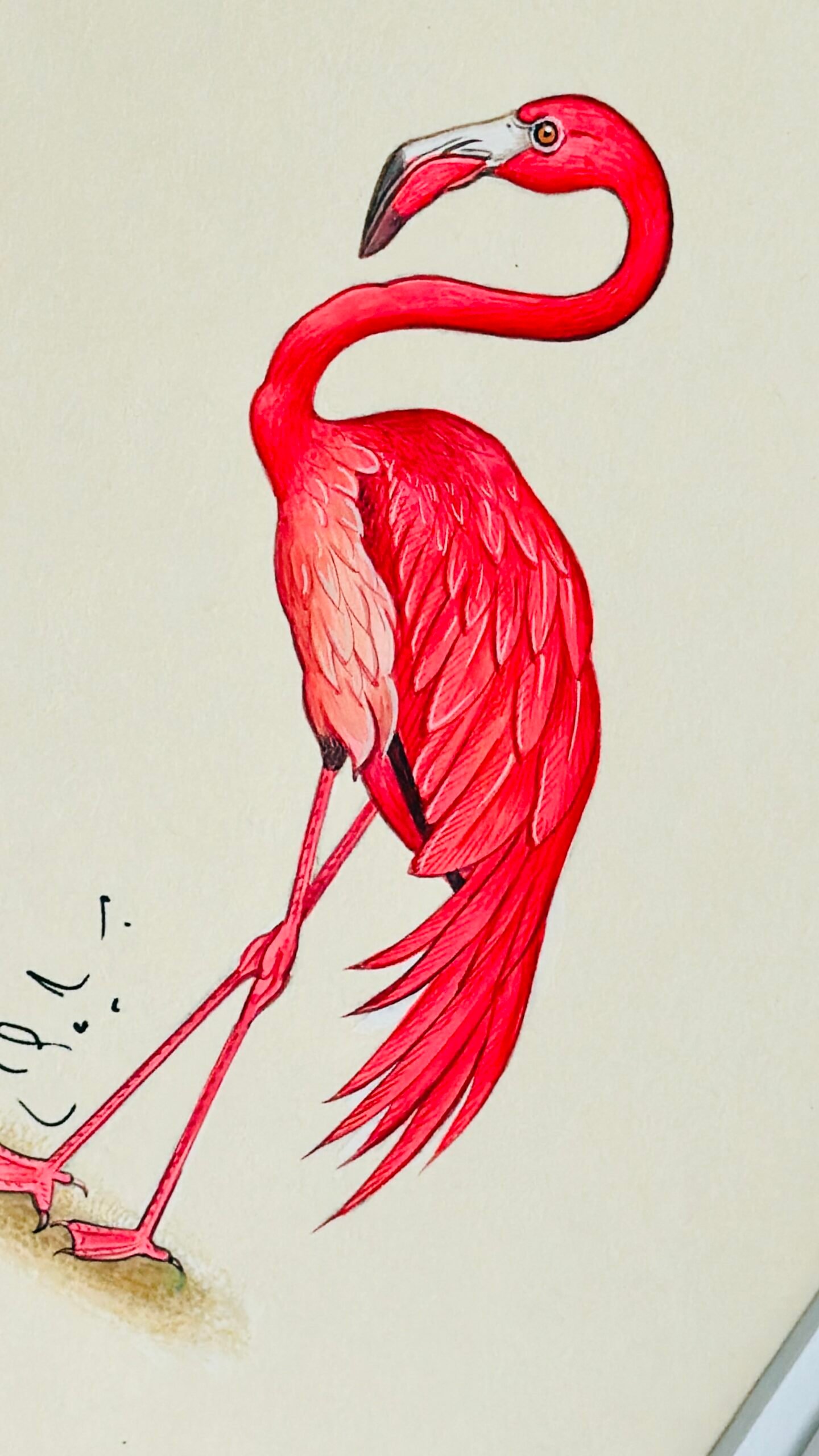 Hand-Painted Flamingo Painting, Rosie - Image 2