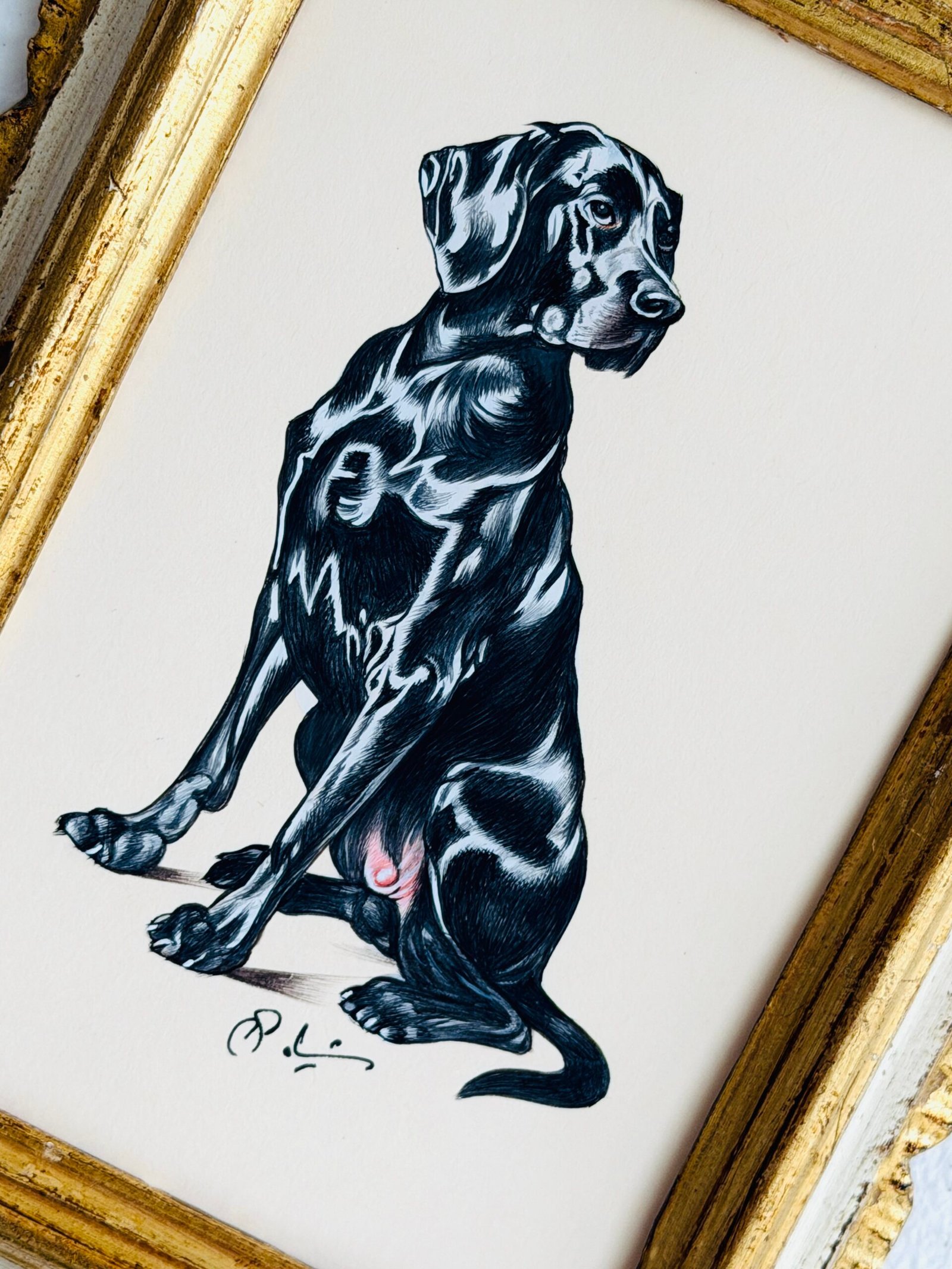 Hand-Painted Dog Painting, Theodore - Image 2