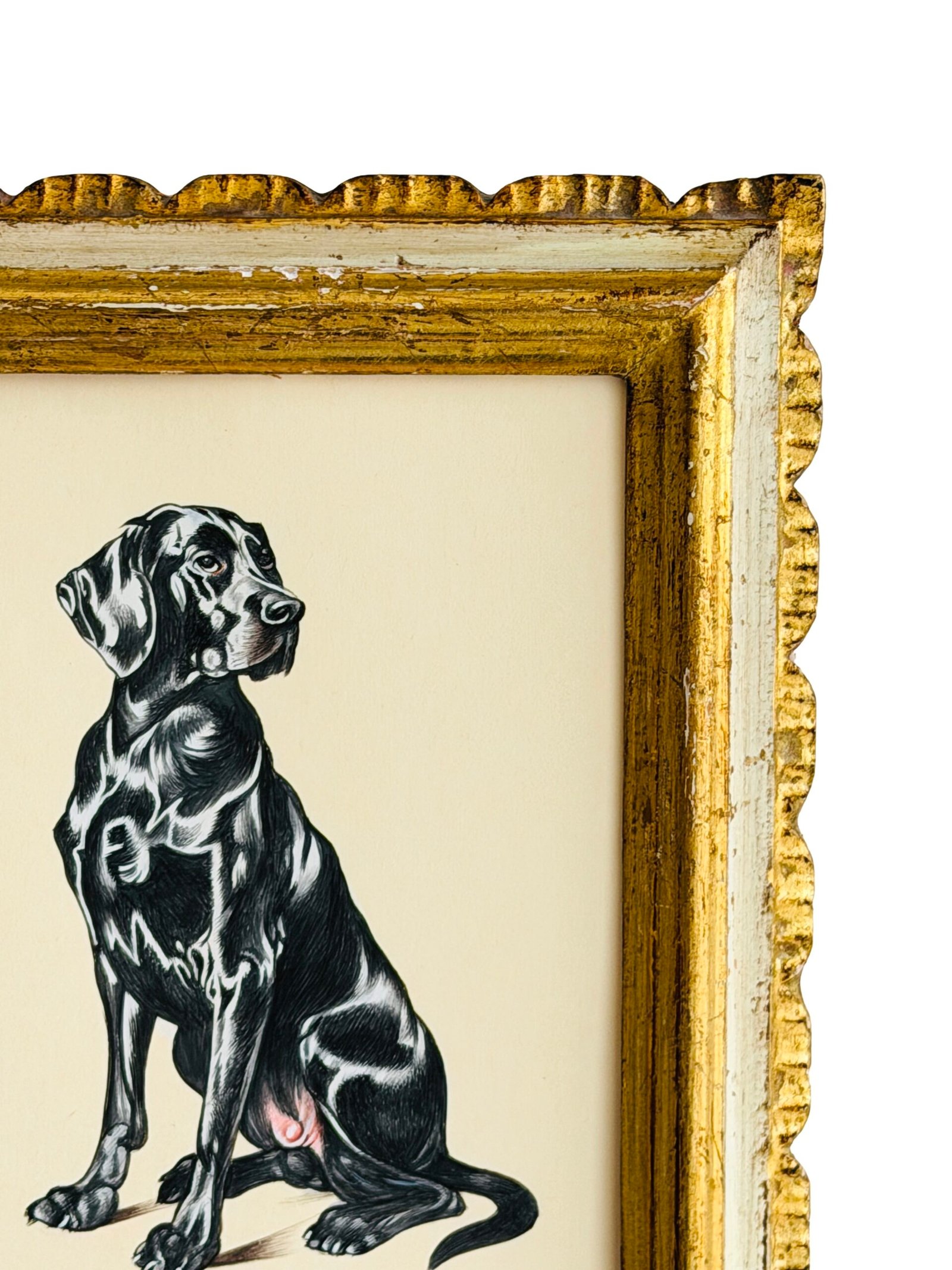 Hand-Painted Dog Painting, Theodore - Image 4